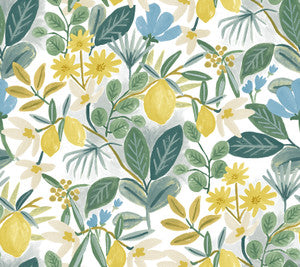 Amalfi Blue & Green Peel & Stick Wallpaper by Rifle Paper Co.
