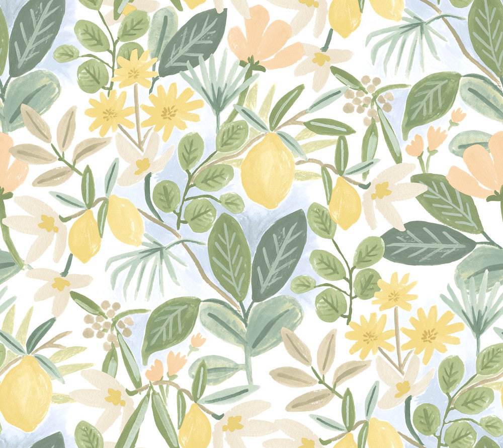 Amalfi Pink & Green Peel & Stick Wallpaper by Rifle Paper Co. Rifle Paper Co. Premium Peel & Stick Covers about 45 square feet 27-in by 20-ft long roll Peel & Stick 24 - Fabric Carolina -