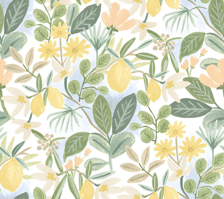 Amalfi Pink & Green Peel & Stick Wallpaper by Rifle Paper Co. Rifle Paper Co. Premium Peel & Stick Covers about 45 square feet 27-in by 20-ft long roll Peel & Stick 24 - Fabric Carolina -