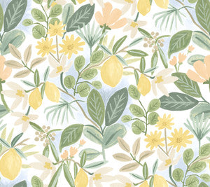 Amalfi Pink & Green Peel & Stick Wallpaper by Rifle Paper Co.