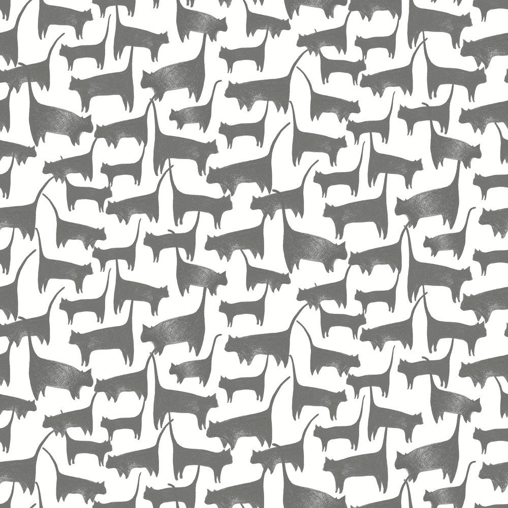 Cat Tails Black Peel & Stick Wallpaper by York Wallcoverings Wildlife Covers about 34.2 square feet 20.5-in by 20-ft long roll Peel & Stick 20.5 - Fabric Carolina -
