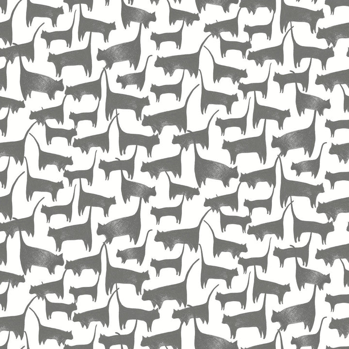 Cat Tails Black Peel & Stick Wallpaper by York Wallcoverings Wildlife Covers about 34.2 square feet 20.5-in by 20-ft long roll Peel & Stick 20.5 - Fabric Carolina -