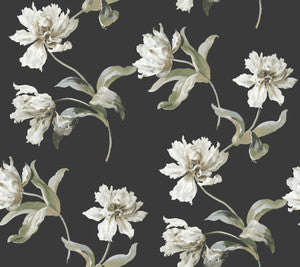 Large Parrot Tulip Black Peel & Stick Wallpaper by York Wallcoverings