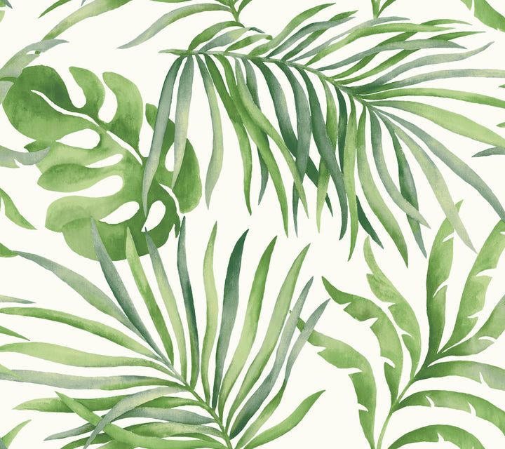 Paradise Palm Green Peel & Stick Wallpaper by Candice Olson Simply Candice Covers about 45 square feet 27-in by 20-ft long roll Peel & Stick 24 - Fabric Carolina -