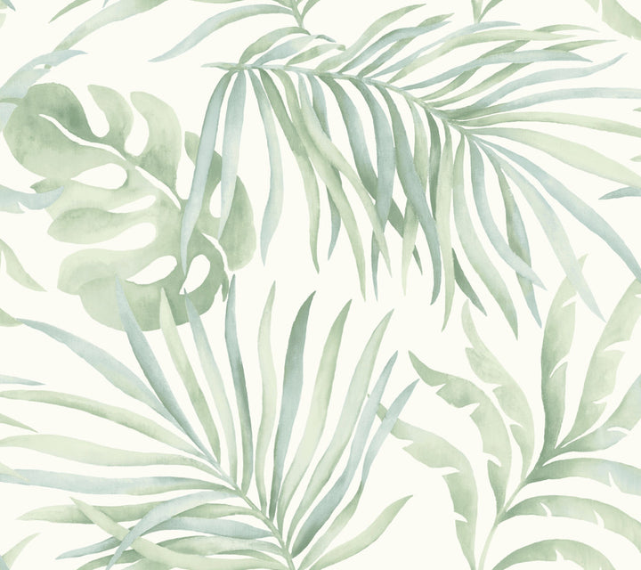 Paradise Palm Aloe Peel & Stick Wallpaper by Candice Olson Simply Candice Covers about 45 square feet 27-in by 20-ft long roll Peel & Stick 24 - Fabric Carolina -