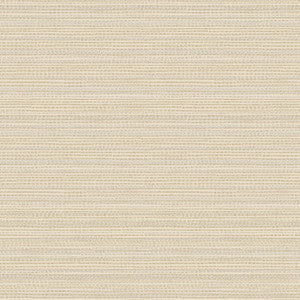 Tick Mark Texture Warm Wheat Peel & Stick Wallpaper by Erin & Ben