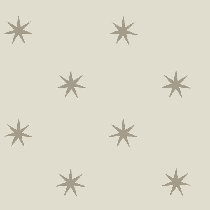 Star Splendor Wicker & Glint Peel & Stick Wallpaper by Erin & Ben Erin & Ben Co. Covers about 34.2 square feet Peel & Stick 20.5-in repeat, straight match 20.5-in by 20-ft long roll - Fabric Carolina -