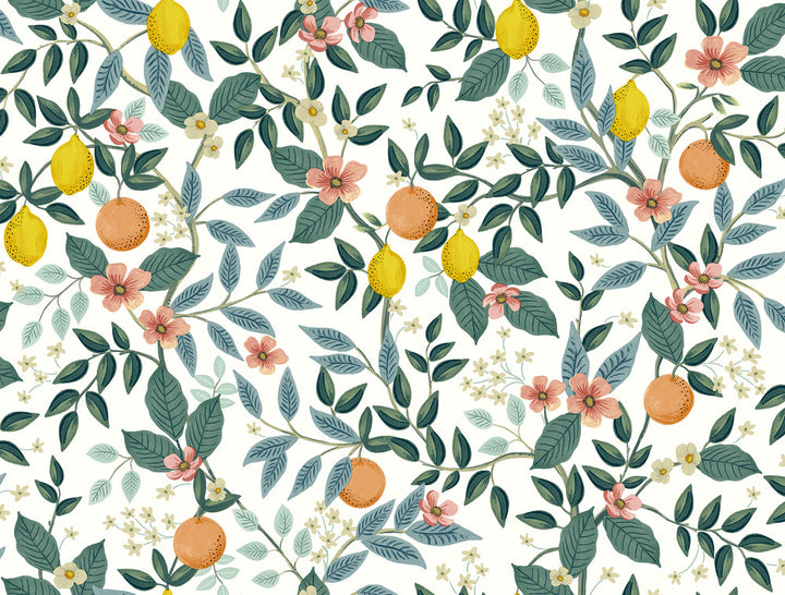Citrus Grove White Peel & Stick Wallpaper by Rifle Paper Co. P&S Rifle Paper 2 Covers about 45 square feet 27-in by 20-ft long roll Peel & Stick 20.5 - Fabric Carolina -