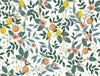 Citrus Grove Peel and Stick White by Rifle Paper Co. Wallpaper