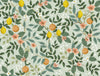 Citrus Grove Peel and Stick Mint by Rifle Paper Co. Wallpaper