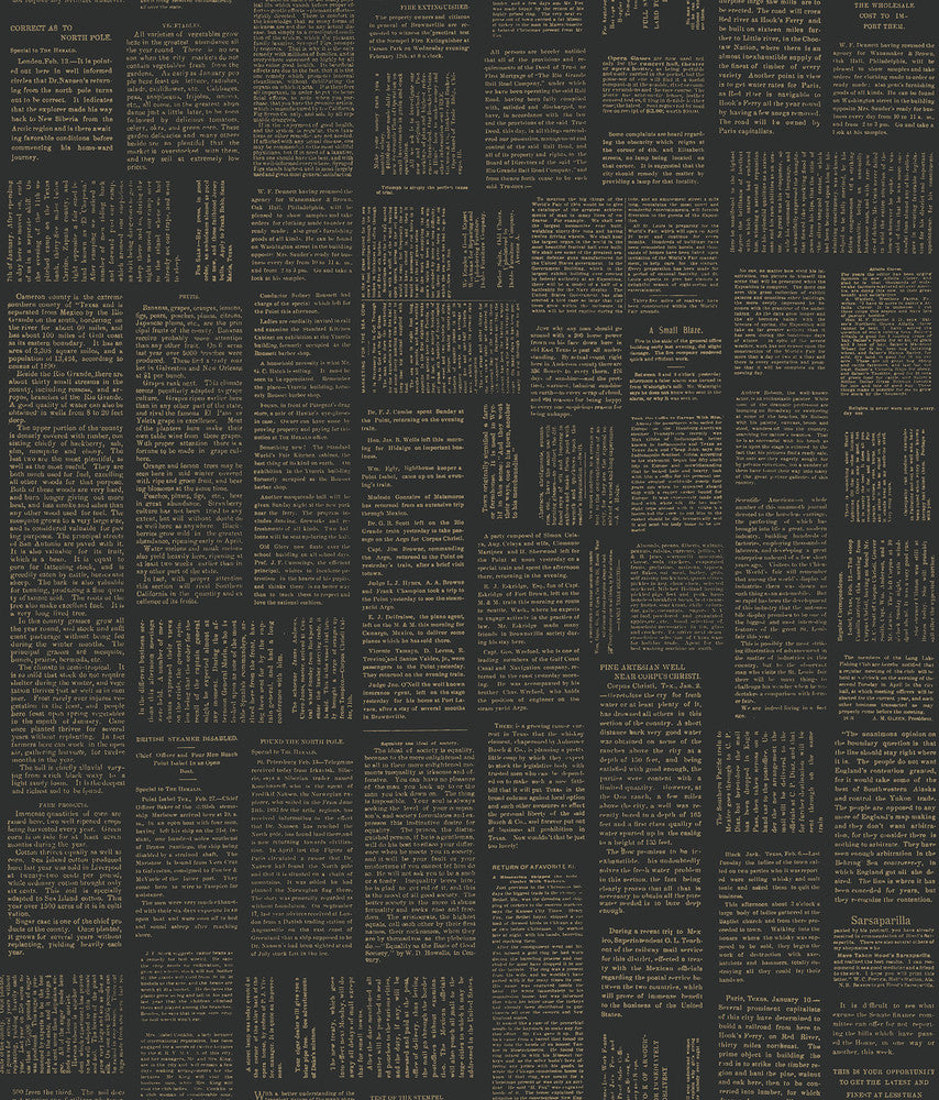 Crafted Editorial Black & Gold Metallic Wallpaper by Magnolia Home Magnolia Home Covers about 34.2 square feet 20.5-in by 20-ft long roll Peel & Stick 24 - Fabric Carolina -