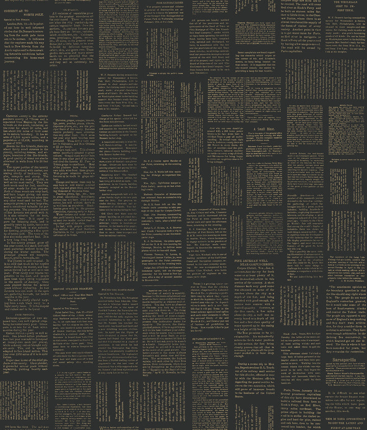 Crafted Editorial Black & Gold Metallic Wallpaper by Magnolia Home Magnolia Home Covers about 34.2 square feet 20.5-in by 20-ft long roll Peel & Stick 24 - Fabric Carolina -
