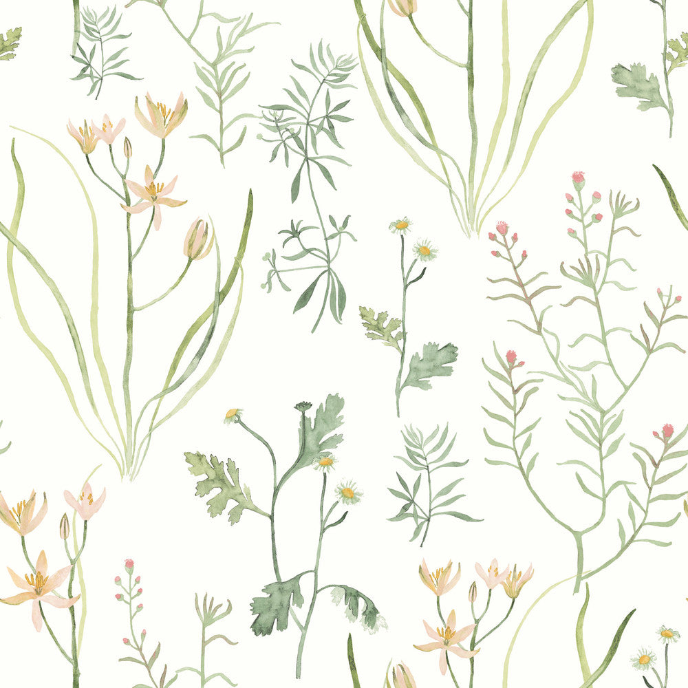 Alpine Botanical Peach Peel & Stick Wallpaper by York Wallcoverings Watercolor Botanicals Covers about 34.2 square feet 20.5-in by 20-ft long roll Peel & Stick 20.5 - Fabric Carolina -