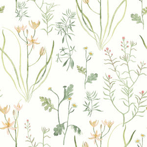 Alpine Botanical Peach Peel & Stick Wallpaper by York Wallcoverings