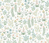 Menagerie Garden Peel and Stick Blush Multi by Rifle Paper Co. Wallpaper