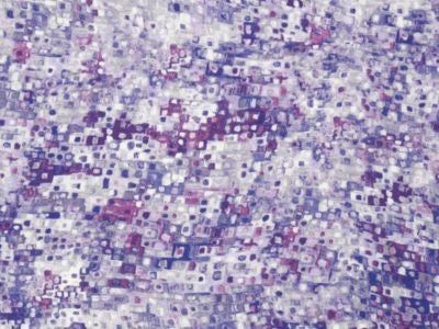 <p>Anantara Reef Lilac PS30890002 by Scalamandre Fabric</p><p><strong>Required Minimum Quantity Purchase: Fabrics by the yard 1 YARD MINIMUM </p><p>Book: WATERFALL</p><p>Content: 51% LINEN 49% COTTON</p><p>Origin: ITALY</p><p>Performance: LIGHT DUTY</p><p>Repeat: Horizontal: 18.5" and Vertical: 25.5"</p><p>Width: 54</p>
