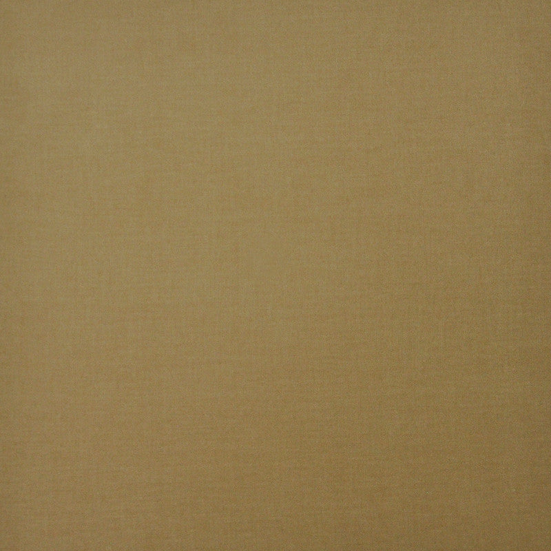 Perry-Ess # 400 Golden by Maxwell Fabric Upholstery Essentials-Textures Iii-Microfiber 100% POLYESTER CHINA 56" - Fabric Carolina -