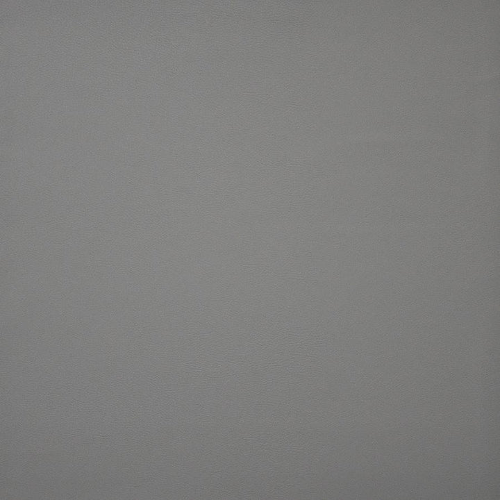 Pinto # 703 Pebble by Maxwell Fabric Easy Rider Iv 100% PVC CHINA 54" - Fabric Carolina -