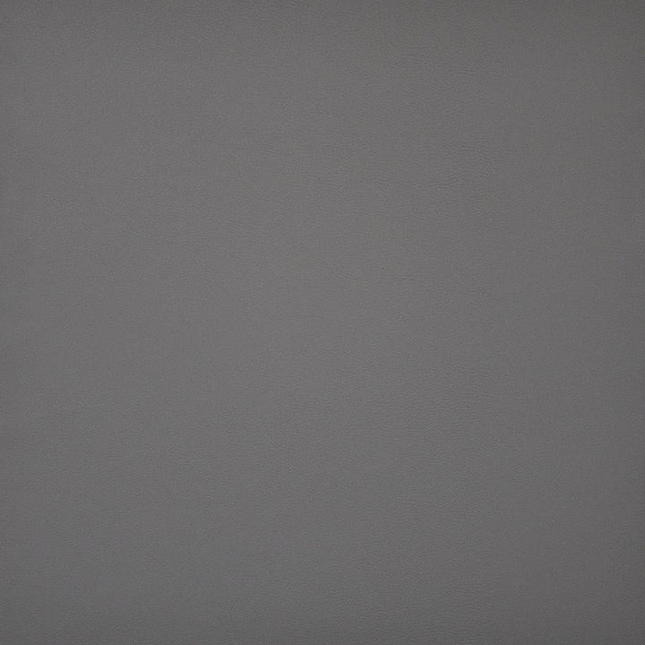 Pinto # 706 Flintstone by Maxwell Designer Fabric Easy Rider Iv 100% PVC CHINA 54" - Swanky Fabrics -