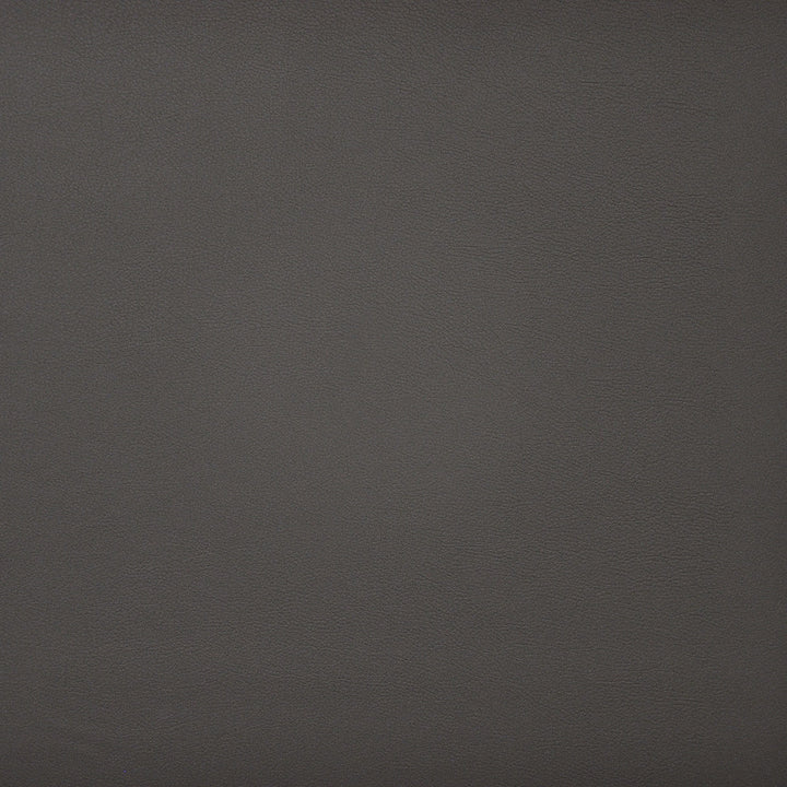 Pinto # 710 Seal by Maxwell Fabric EASY RIDER IV 100% PVC CHINA See sample </p><p>Repeat: Horizontal: and Vertical: 54" - Fabric Carolina -