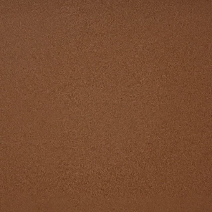 Pinto # 722 Autumn by Maxwell Fabric EASY RIDER IV 100% PVC CHINA See sample </p><p>Repeat: Horizontal: and Vertical: 54" - Fabric Carolina -