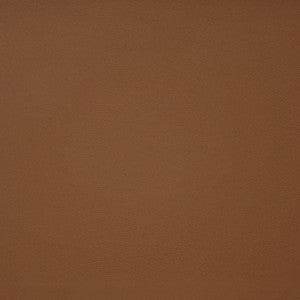 Pinto # 722 Autumn by Maxwell Fabric