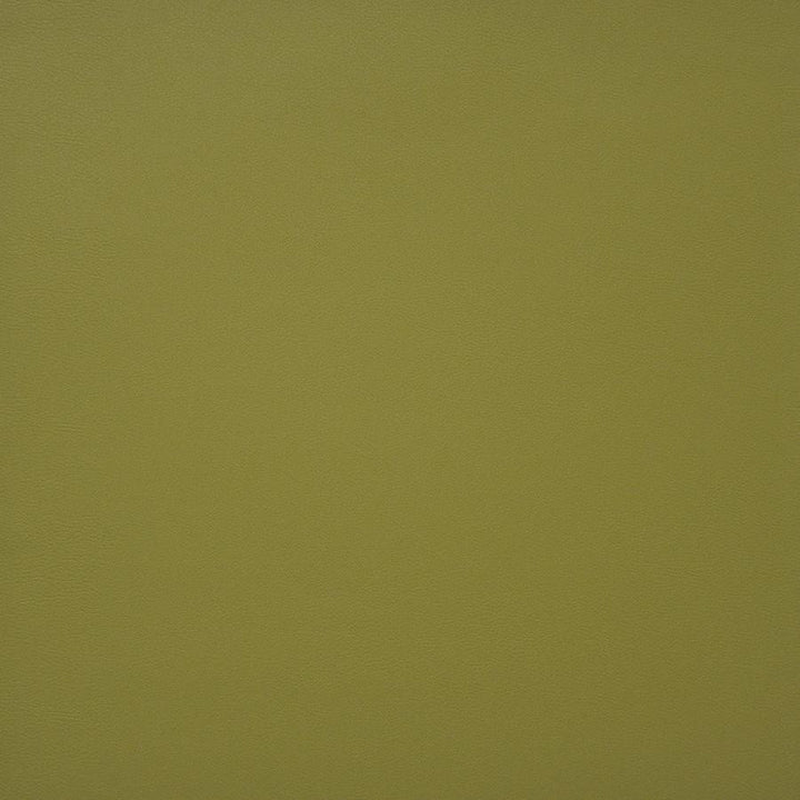 Pinto # 728 Spring by Maxwell Fabric Easy Rider Iv 100% PVC CHINA 54" - Fabric Carolina -