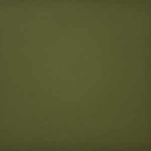 Pinto # 730 Oregano by Maxwell Fabric