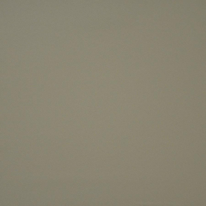 Pinto # 733 Bone by Maxwell Fabric Easy Rider Iv 100% PVC CHINA 54" - Fabric Carolina -