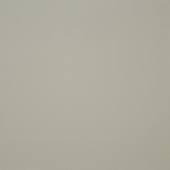 Pinto # 736 Ivory by Maxwell Fabric Easy Rider Iv 100% PVC CHINA 54" - Fabric Carolina -