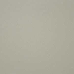Pinto # 736 Ivory by Maxwell Fabric