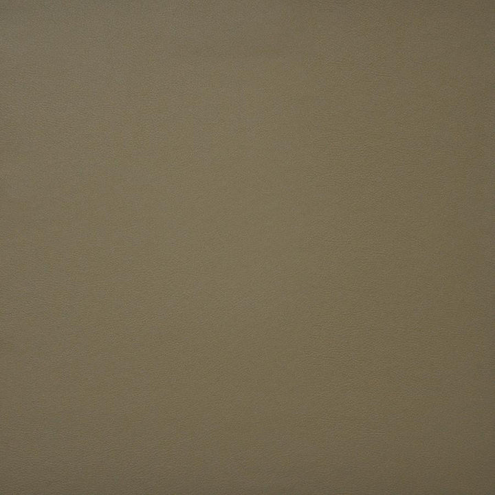 Pinto # 738 Doe by Maxwell Fabric EASY RIDER IV 100% PVC CHINA 54" - Fabric Carolina -