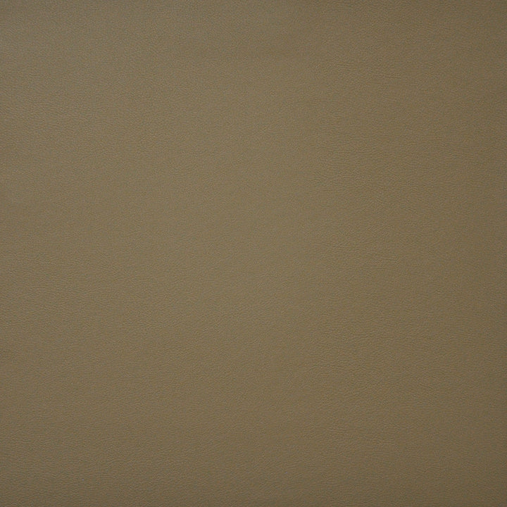 Pinto # 738 Doe by Maxwell Fabric EASY RIDER IV 100% PVC CHINA See sample </p><p>Repeat: Horizontal: and Vertical: 54" - Fabric Carolina -