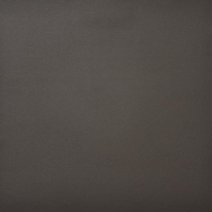 Pinto # 742 Peat by Maxwell Fabric Easy Rider Iv 100% PVC CHINA 54" - Fabric Carolina -