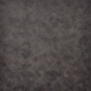 Pompeii # 180 Fossil by Maxwell Fabric