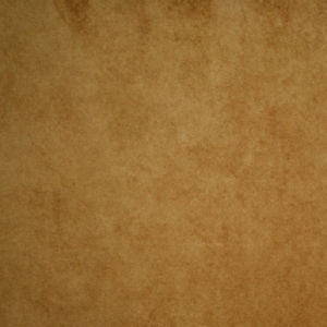 Puma Camel 818 by Norbar Designer Fabric | PUMA CAMEL 818 | 100% POLYESTER | 55 | China