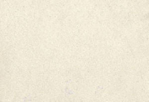 Puma Coconut 026 by Norbar Designer Fabric | PUMA COCONUT 026 | 100% POLYESTER | 55 | China