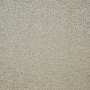 Purrfect # 165 Powder by Maxwell Fabric