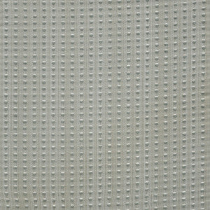 Pastille # 925 Seafoam by Maxwell Fabric