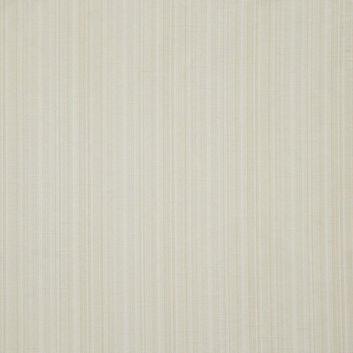 Palladio # 560 Biscuit by Maxwell Fabric Pure & Simple Xii 100% POLYESTER INDIA 54" - Fabric Carolina -