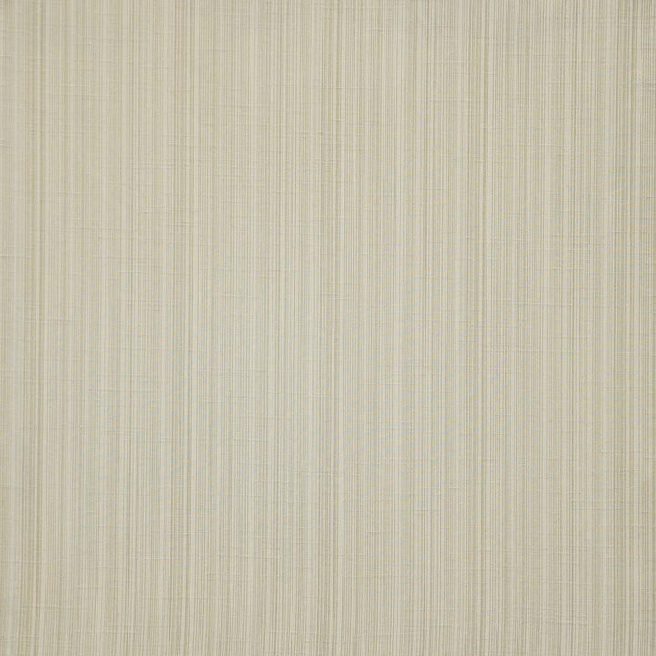 Palladio # 569 Truffle by Maxwell Fabric Pure & Simple Xii 100% POLYESTER INDIA 54" - Fabric Carolina -
