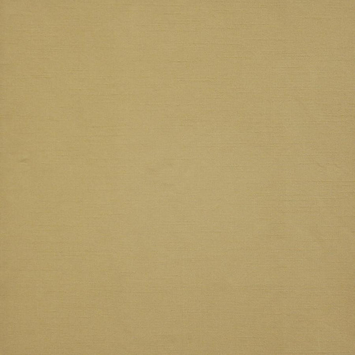 Prato # 534 Buff by Maxwell Fabric Pure & Simple Xii 100% POLYESTER INDIA 54" - Fabric Carolina -