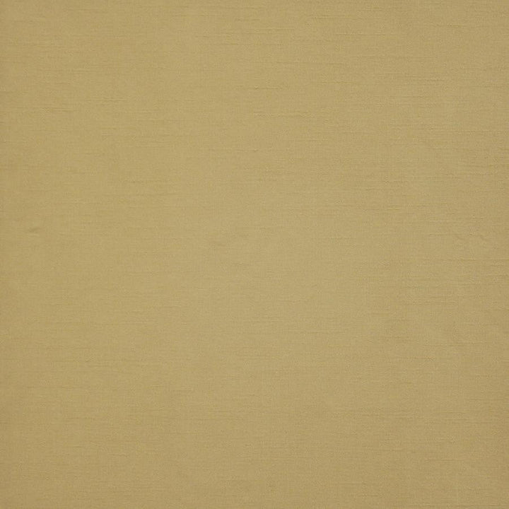 Prato # 534 Buff by Maxwell Designer Fabric Pure & Simple Xii 100% POLYESTER INDIA 54" - Swanky Fabrics -