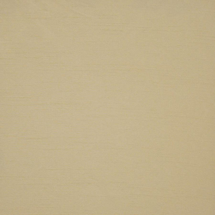 Prato # 536 Amul by Maxwell Fabric Pure & Simple Xii 100% POLYESTER INDIA 54" - Fabric Carolina -