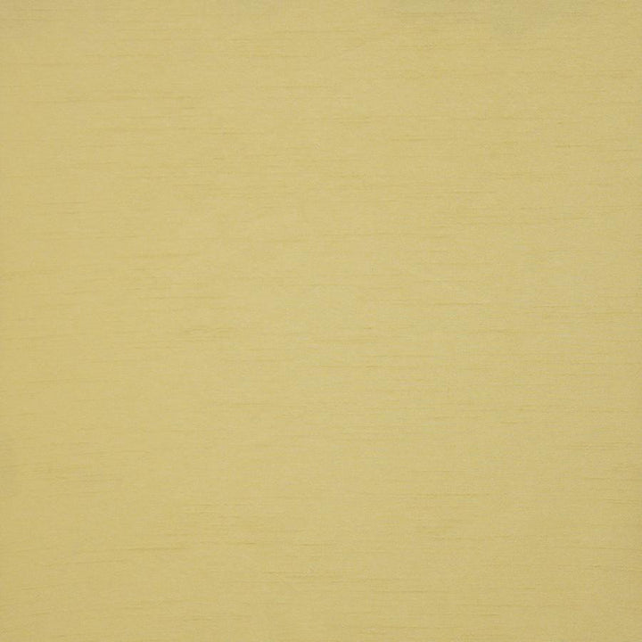 Prato # 541 Citrus by Maxwell Fabric Pure & Simple Xii 100% POLYESTER INDIA 54" - Fabric Carolina -