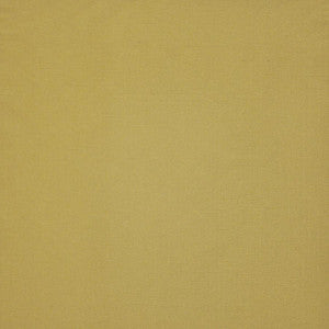 Prato # 542 Foil by Maxwell Fabric