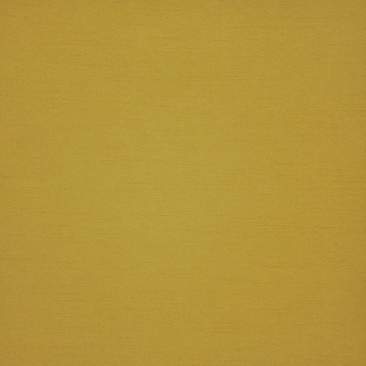 Prato # 543 Chartreuse by Maxwell Designer Fabric Pure & Simple Xii 100% POLYESTER INDIA 54" - Swanky Fabrics -