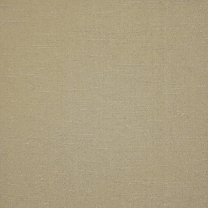 Prato # 570 Driftwood by Maxwell Fabric Pure & Simple Xii 100% POLYESTER INDIA 54" - Fabric Carolina -