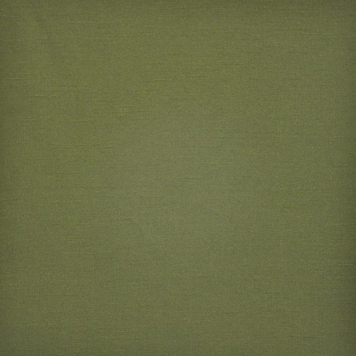 Prato # 582 Grass by Maxwell Fabric Pure & Simple Xii 100% POLYESTER INDIA 54" - Fabric Carolina -