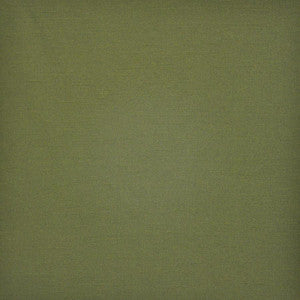 Prato # 582 Grass by Maxwell Fabric